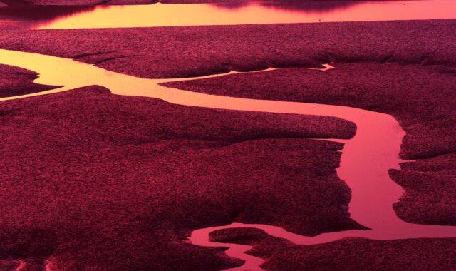 foreshore, ocean, low tide, mudflat, nature, water, glow, as the number of, pattern, blood vessel, pattern, pattern, pattern, pattern, pattern, blood vessel