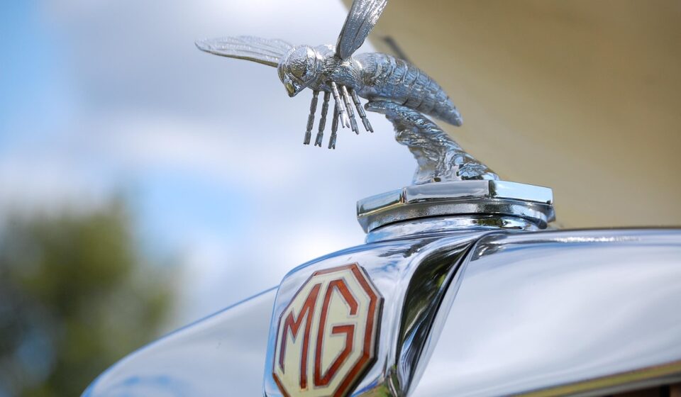 mg, car wallpapers, hornet, car, antique, classic, british, vintage, vehicle, auto, automobile, emblem