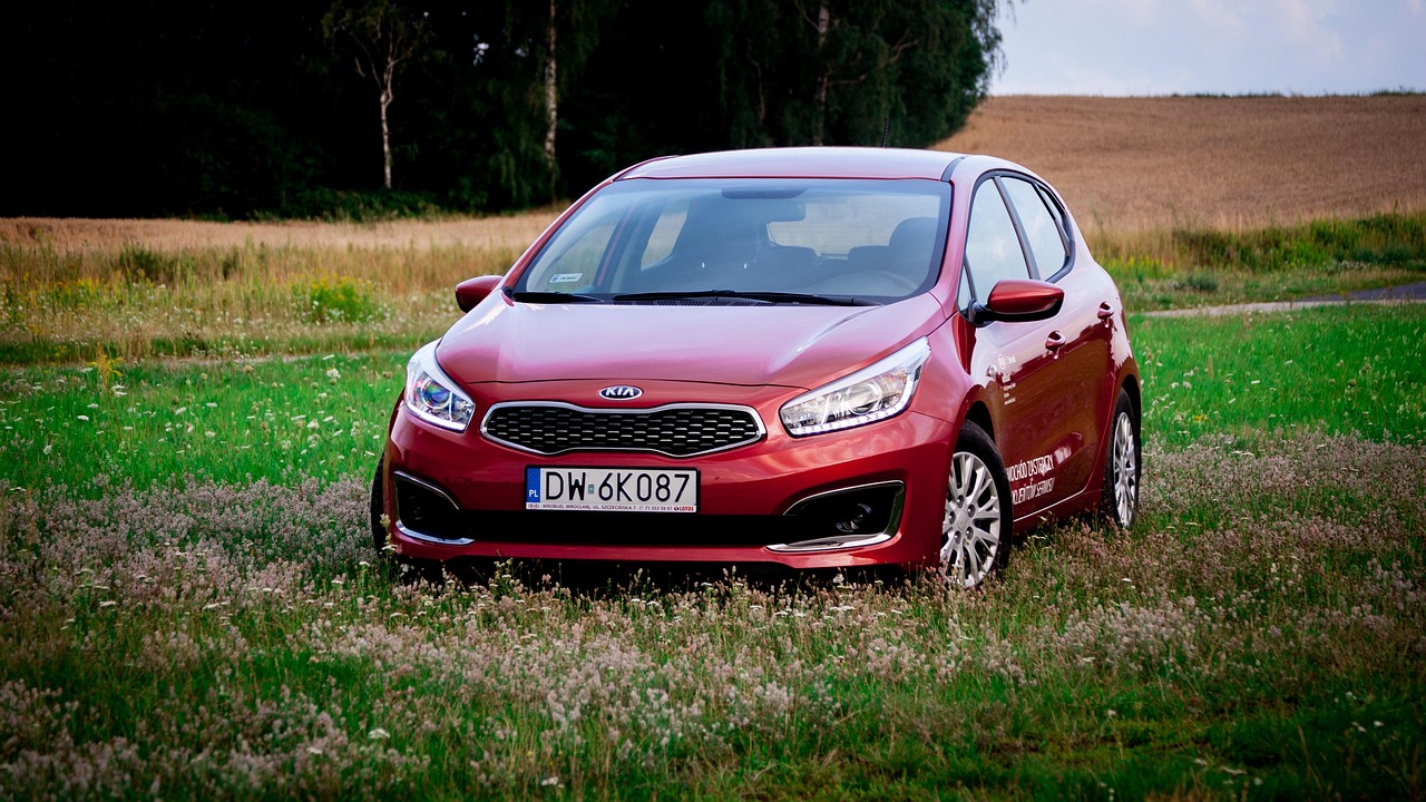 car, kia, korea, nature, landscape, wheels, transport, auto, light, tourism, reflector, cars, grass, lacquer, automotive, replacement lamp, meadow, car wallpapers, new, personal