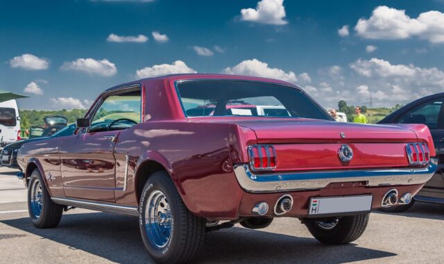 car, mustang, ford, car wallpapers, ford mustang, veteran, old timer, old car