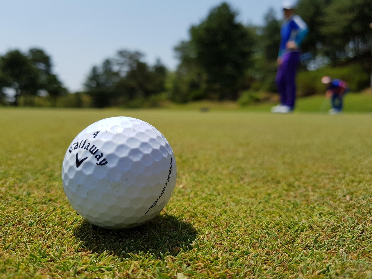 golf, golf ball, golfers, golf club, sport, fairway, ball, golf, golf, golf, golf, golf, golf ball