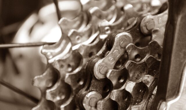 bicycle, pinion, circuit