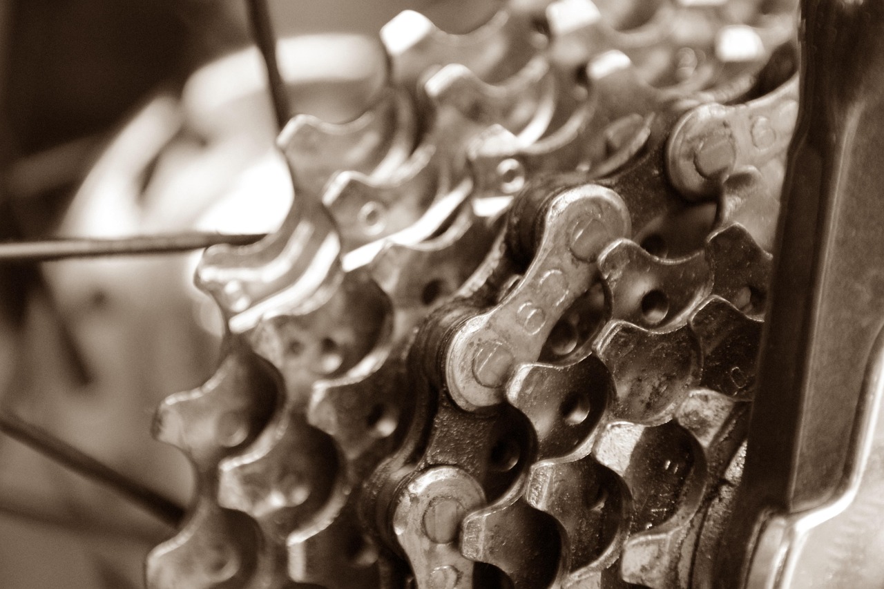 bicycle, pinion, circuit
