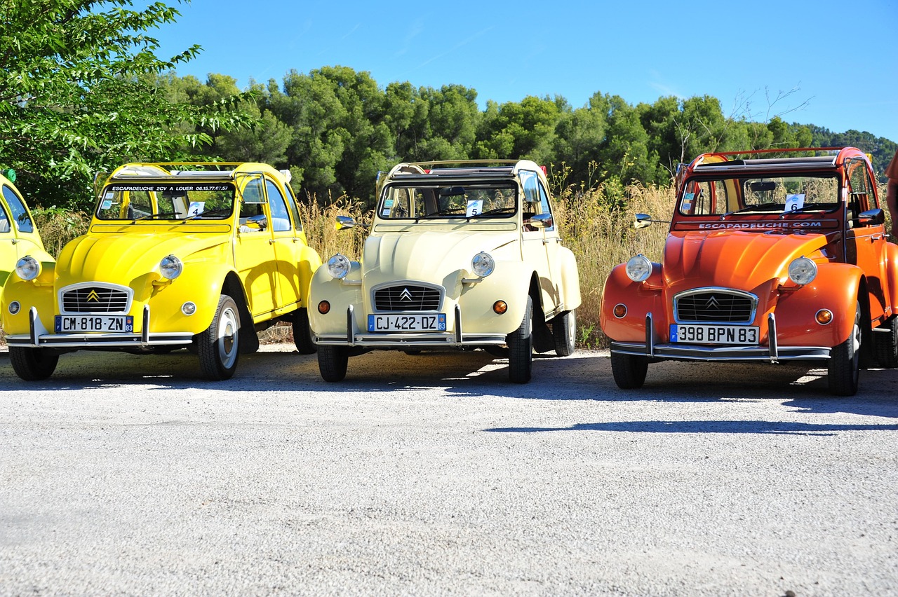 circle, car, car wallpapers, 2cv seminar
