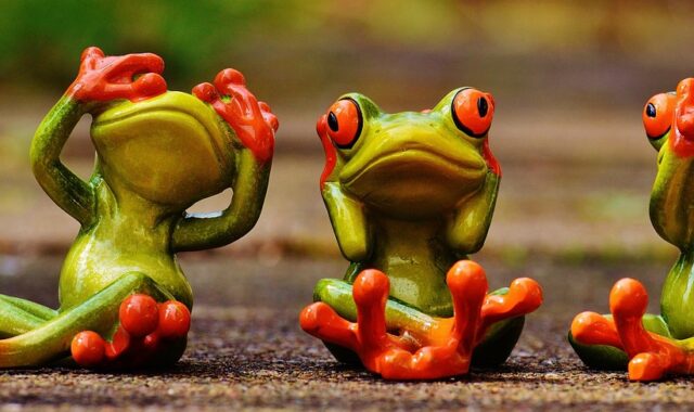 frogs, not see, not hear, do not speak, fun, cute, funny, characters, green, to sit, frog, frogs, funny, funny, funny, funny, funny, frog, frog
