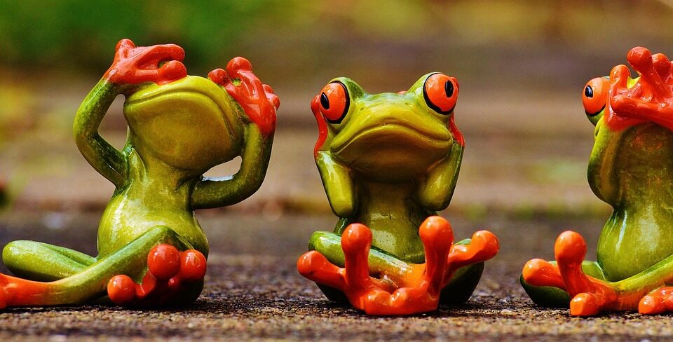 frogs, not see, not hear, do not speak, fun, cute, funny, characters, green, to sit, frog, frogs, funny, funny, funny, funny, funny, frog, frog