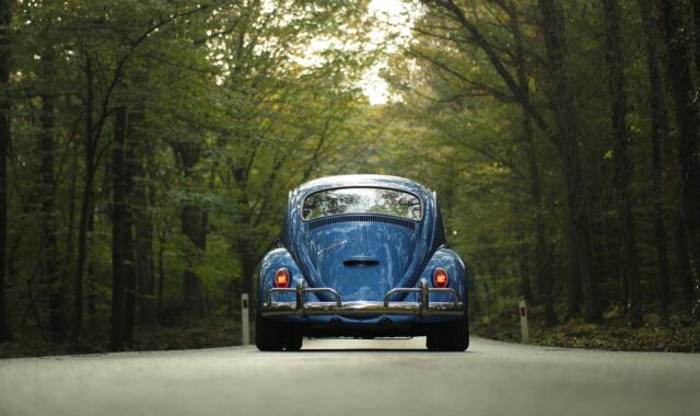 vw, beetle, car, classic car, forest, car wallpapers, outdoors, road, drive, road trip, trip, travel, trees, nature, vehicle, vintage, volkswagen, volkswagen beetle