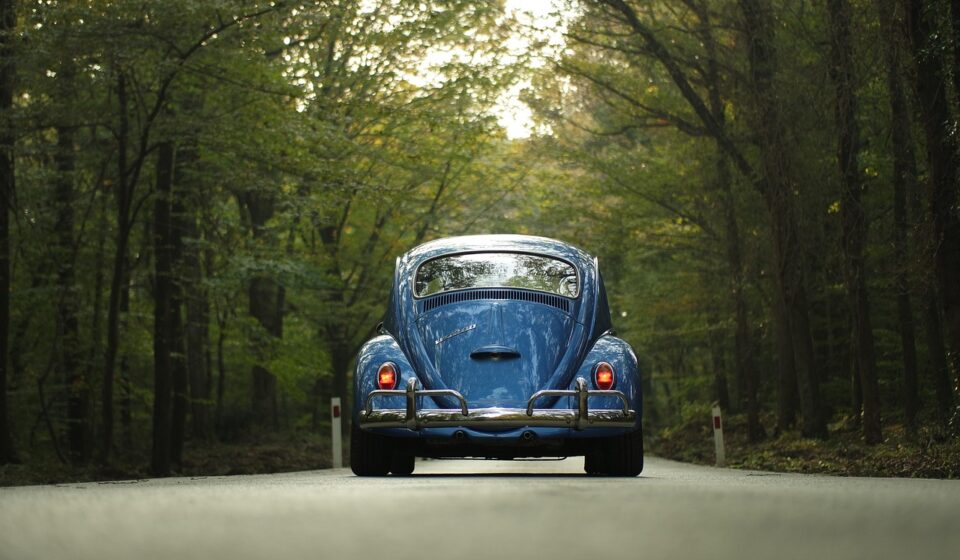 vw, beetle, car, classic car, forest, car wallpapers, outdoors, road, drive, road trip, trip, travel, trees, nature, vehicle, vintage, volkswagen, volkswagen beetle