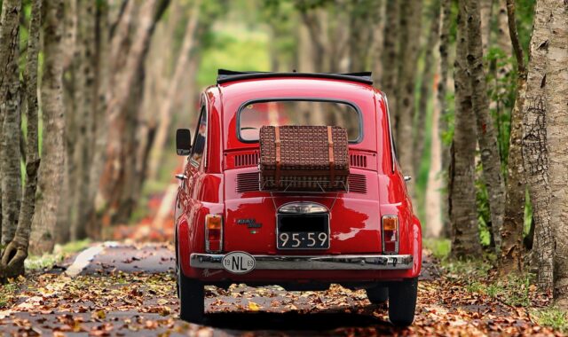 fiat 500, automobile, trees, antique car, vehicle, classic, nature, italy, nostalgia, car, small car, motor vehicle, car wallpapers, avenue, road, path