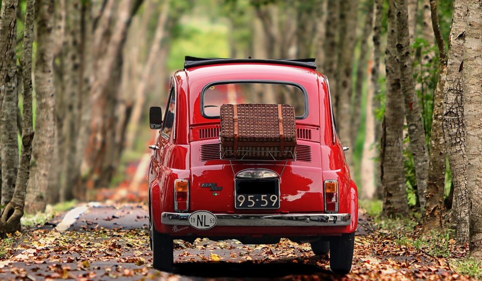 fiat 500, automobile, trees, antique car, vehicle, classic, nature, italy, nostalgia, car, small car, motor vehicle, car wallpapers, avenue, road, path