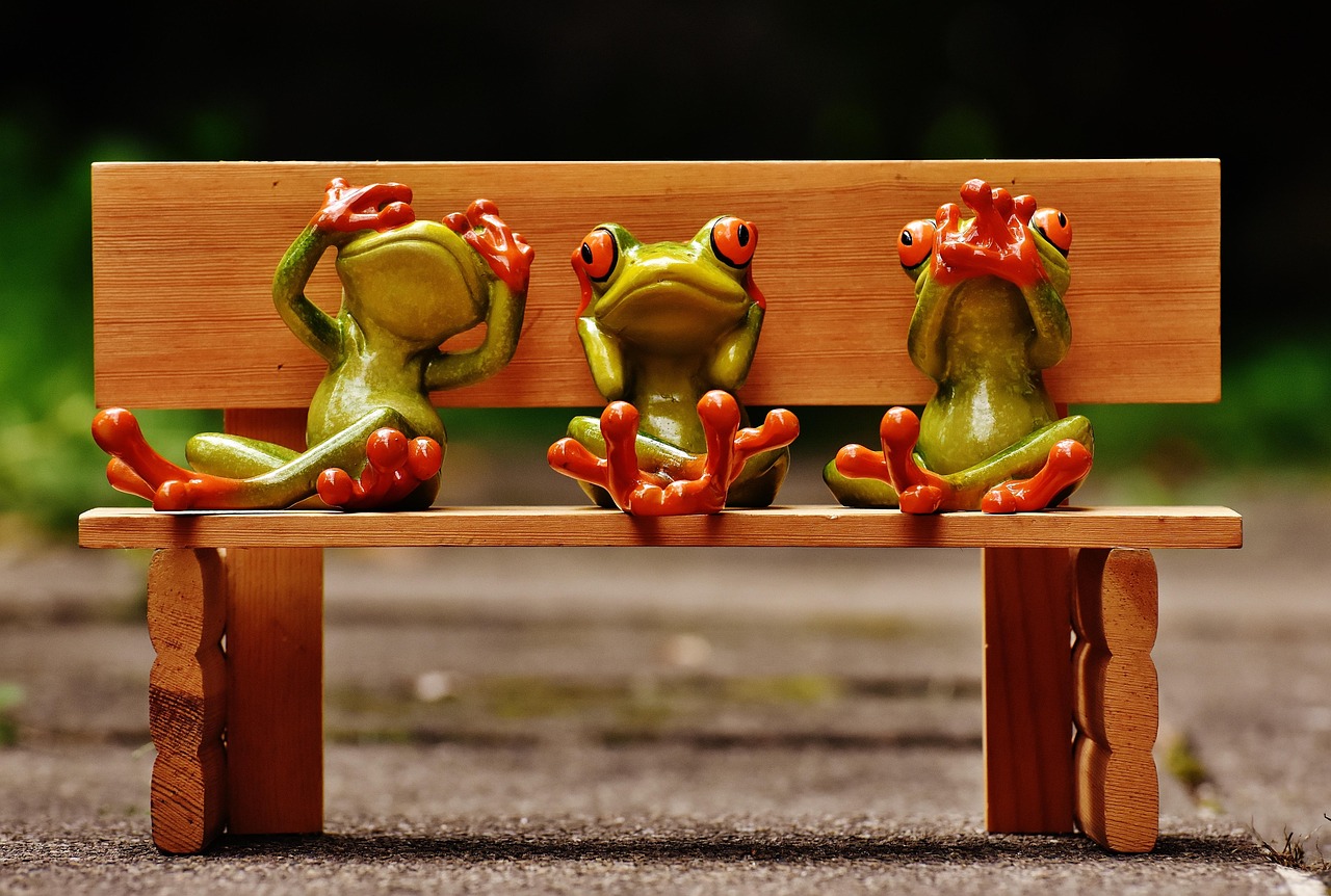 frogs, not see, not hear, do not speak, fun, cute, funny, characters, green, to sit, frog, bank, bench, wood, wooden bench, frogs, frogs, funny, funny, funny, funny, funny, frog, frog, frog, bench, bench