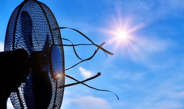 heat, hot, summer, sun, fan, air, ventilation, nature, cool, cooling down
