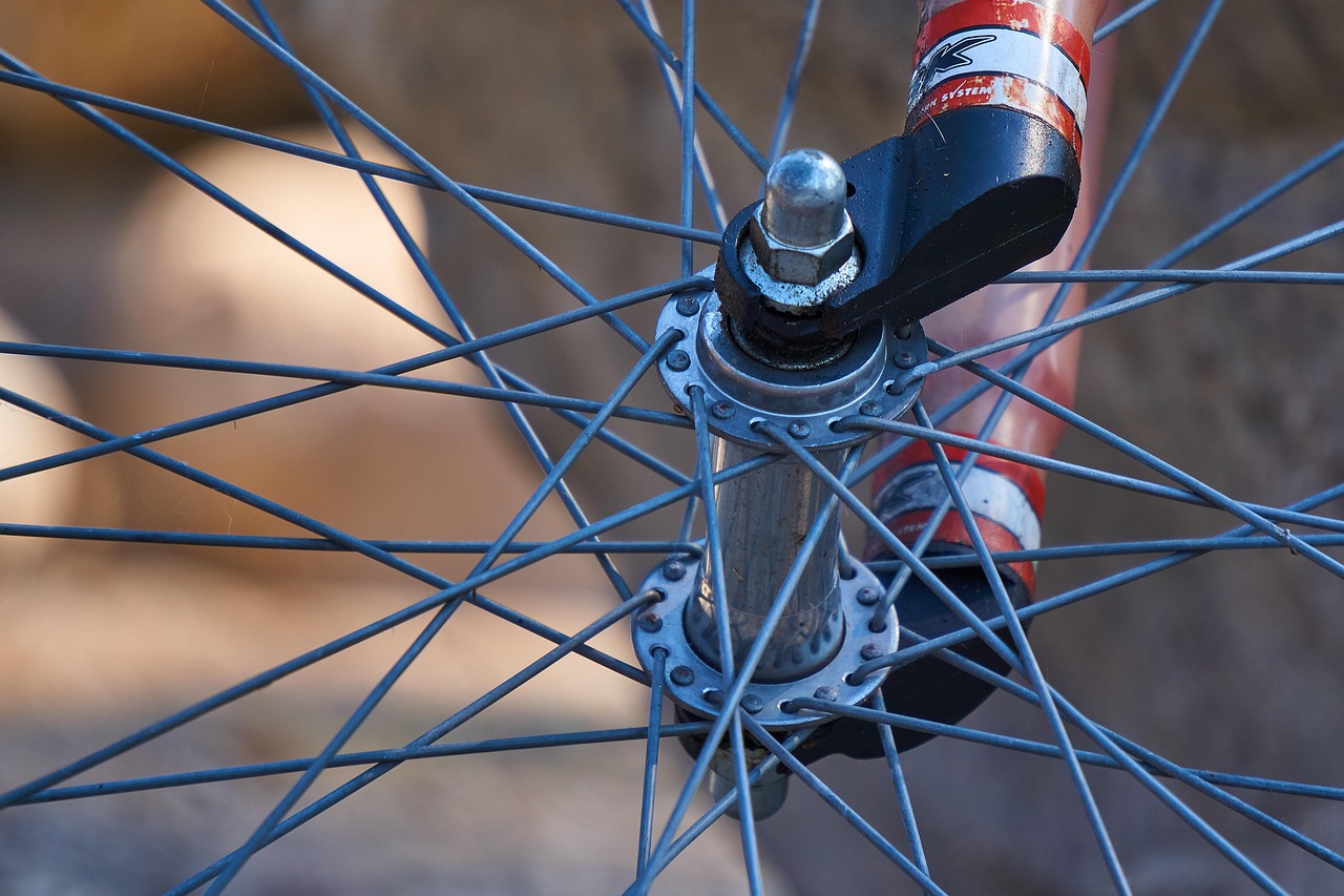 bicycle tires, rim, spokes, wheel hub, hub, mountain bike, bicycle, tire, to go biking, axis, suspension, bracket, keep