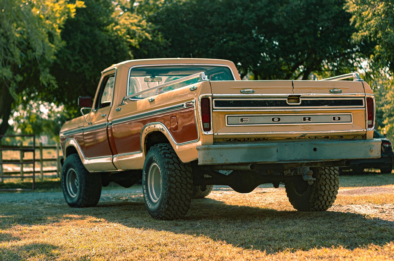 truck, pickup, ford, warm, saturated, colorful, history, vehicle, wheel, pickup, pickup, pickup, pickup, pickup